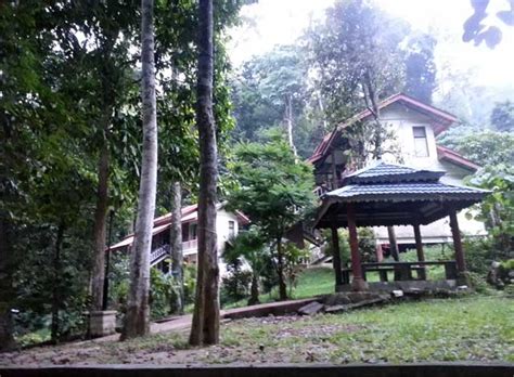 It is classified as lowland dipterocarp forest. Titi Hayun Yan Kedah - Panduan percutian 2020 | Percutian ...