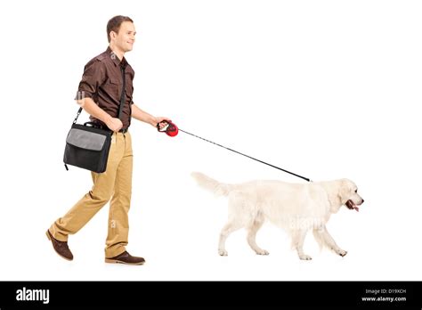 557 Person Walking Dog Side View Stock Photos Pictures Royalty Free