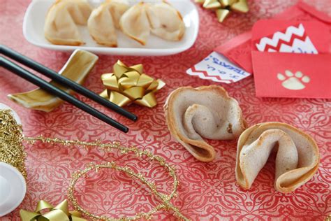 Dalmatian Diy Recipe Chinese New Year Dog Fortune Cookie