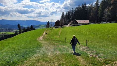 Hiking Black Forest Tours