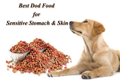Best Dog Food For Sensitive Stomach And Skin Top 10 Choices