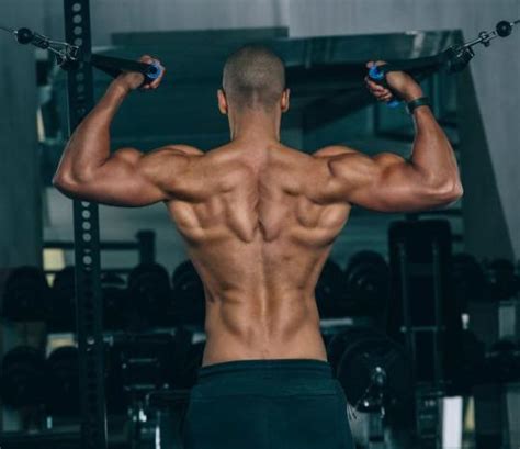 15 is what percent of 1500? 15 Negative Effects of Having a Low Body Fat Percentage