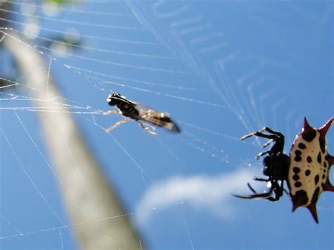 If javascript is enabled, you will be redirected to the virtual waiting within 10 seconds. Cool Breeze Photography
