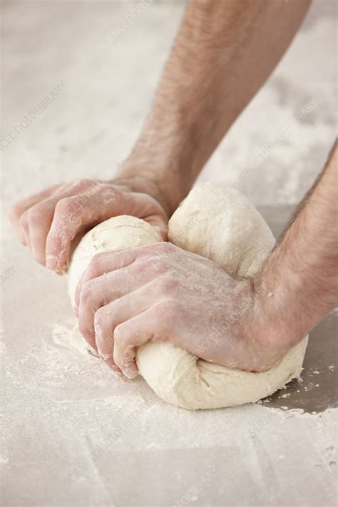 Chef Kneading Dough In Kitchen Stock Image F0058966 Science