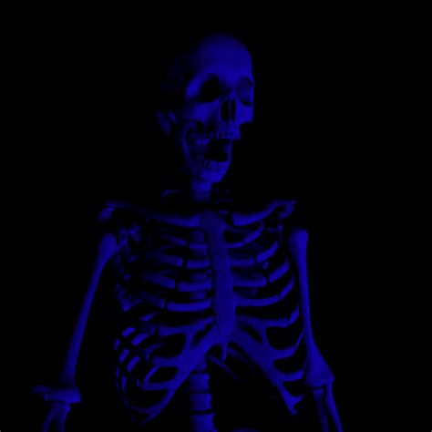 Skeleton Laughing  Find And Share On Giphy