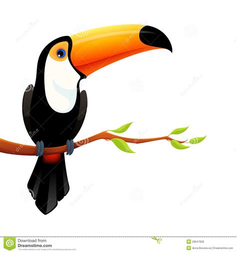 Tucan Clipart Clipground
