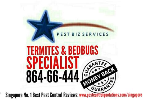 Safe and affordable pest control solutions. Singapore Best Pest Control Review - Home | Facebook