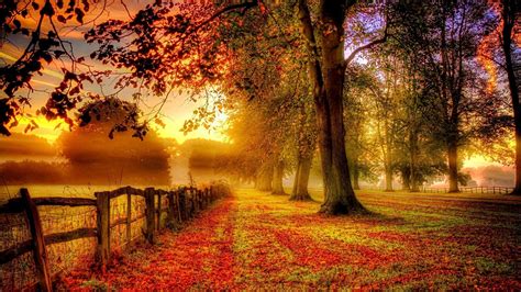Autumn Wallpaper ·① Download Free Cool Hd Wallpapers For Desktop Mobile Laptop In Any