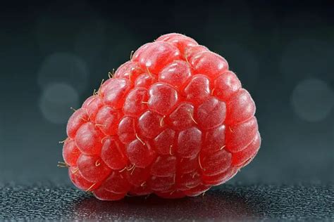 15 Compound Fruit Examples Detailed Explanations And Images Lambda