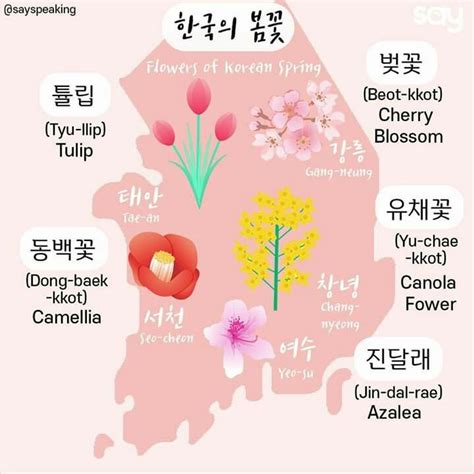 Flowers In Korean Learn Korean Alphabet Korean Words Learning