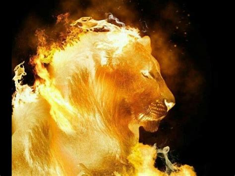 Roar Mighty Lion Of The Tribe Of Judah Roar Fire Lion Lion Of