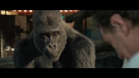 Pgdisney moviea gorilla named ivan tries to piece together his past with the help of an elephant named stella as they hatch a plan to escape from captivity. The One and Only Ivan Tráiler VO - SensaCine.com