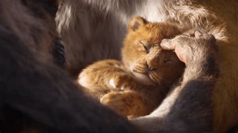 Le Roi Lion Live Action Disney + - 'The Lion King' Live-Action Trailer Is Here & It'll Truly Give You Chills