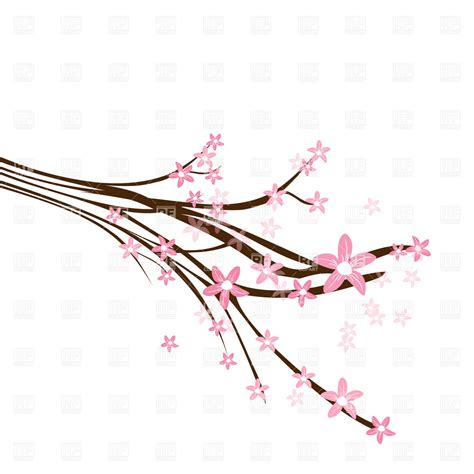 Simple Cherry Blossom Branch Clip Art At Clker Com Vector Clip Art My Xxx Hot Girl