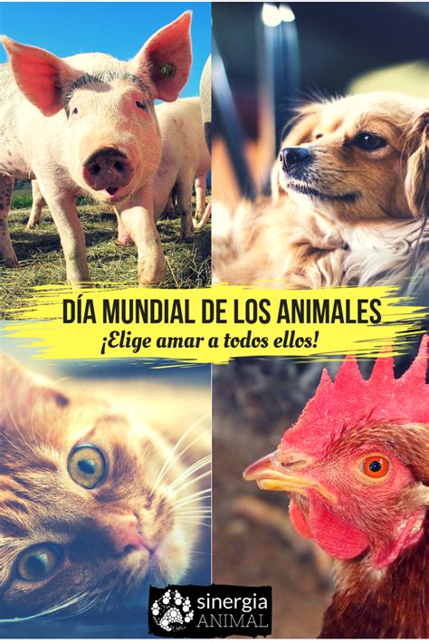 Hoy 4 de octubre es el Día Mundial de los Animales. Nuestra celebración