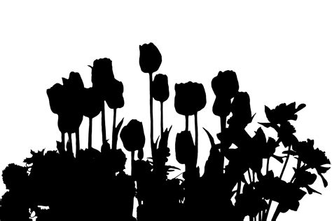 Flower Png Top Down Clipart