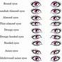 Eye Shapes Chart Female