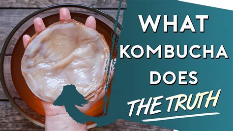 the truth on what kombucha does to your body doctor responds youtube