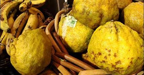 Markets its brand of tangelos from jamaica. Ugly Fruit A Supermarket Smash - CBS News