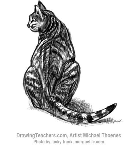 Draw the outer shapes of the paws without any of the small details like the toes. How to Draw a Cat Sitting