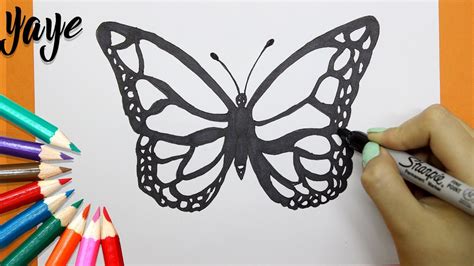 Como Dibujar Una Mariposa How To Draw A Butterfly