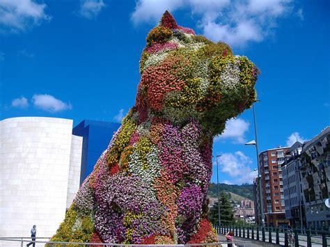 Puppy Bilbao Pixabay El Jardín De Venus
