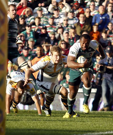 I'd compare his arrival to the impact paul gustard made at quins, the whole. Leicester Tigers on Twitter: "Great work by our Tiger ...