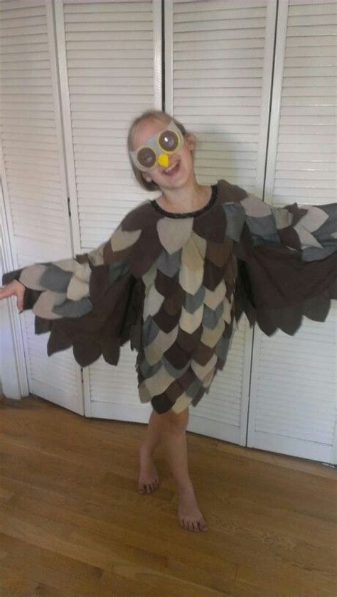 Homemade Owl Costume Costumes Pinterest