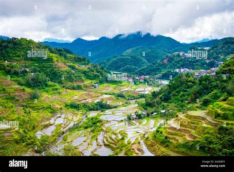 Banaue Rice Terraces In Early Spring Mountain Province Cordillera