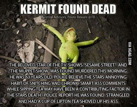 Kermit Found Dead 9gag