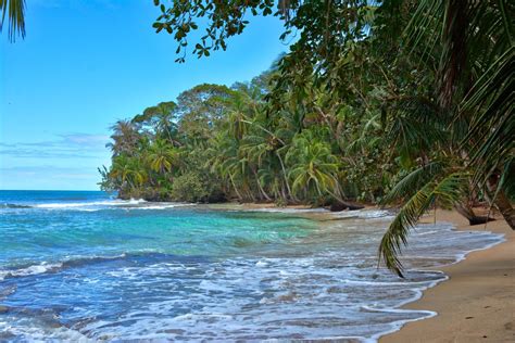 9,899 likes · 9 talking about this · 98 were here. Punta Manzanillo Costa Rica en 2019 | Playas de costa rica ...
