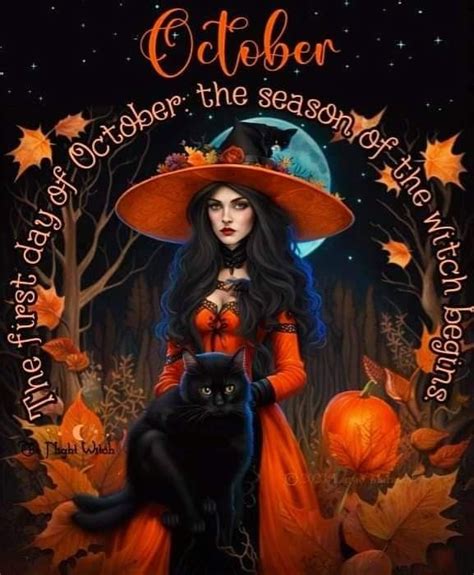 Pin By 𝓐𝓶𝔂 🦇🔮🌙🎃 On Season Of The Witch 🔮 Night Witches Season Of The
