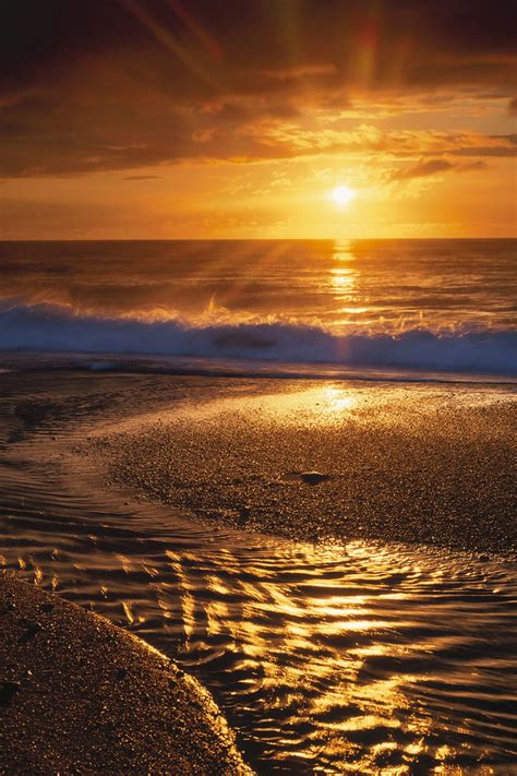 It is the favorite destination for families and friends alike; Beach Sunset Printed Vinyl Backdrop | Savage Universal
