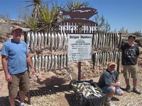 Einfallsreich Raffinerie Schwanz Lake Mead Las Vegas Fishing Minister