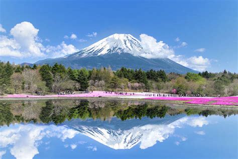 Mount Fuji And Hakone Sightseeing Tour Japan Shore Excursions