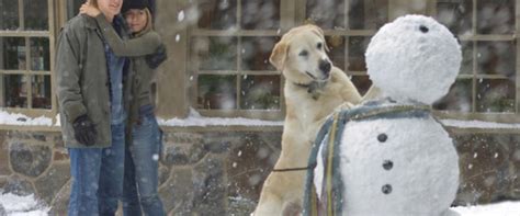 Jennifer aniston and owen wilson unleash huge laughs as john and jenny grogan, a young couple contemplating the decision to have a baby. Marley & Me movie review & film summary (2008) | Roger Ebert