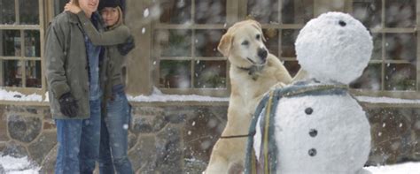 Learn about marley & me: Marley & Me Movie Review & Film Summary (2008) | Roger Ebert