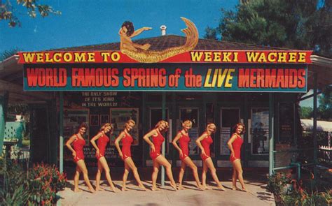 (c) 2009 cash money records inc.#kevinrudolf #welcometotheworld #vevo. Welcome to Weeki Wachee - Spring of the Live Mermaids | Flickr