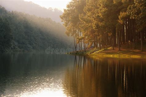 Landscape Of Lake Reflection Of Tree In A Lake Stock Image Image Of