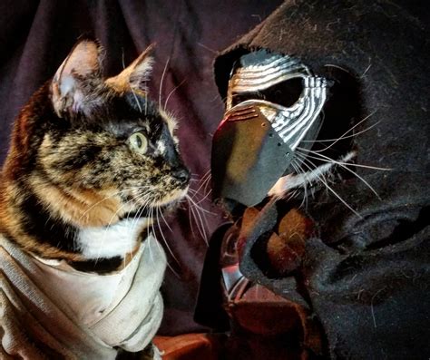 👻 Cat Cosplay 👻 On Twitter The Force The Dark Side And The Light