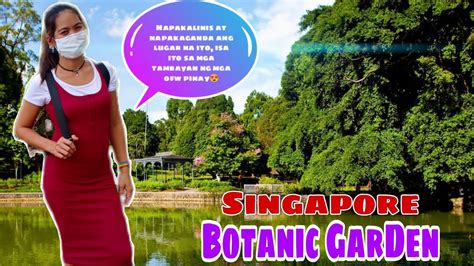 Singapore Botanic Garden Fellowship With My Friends At Church Sexy Lhen Vlog Youtube