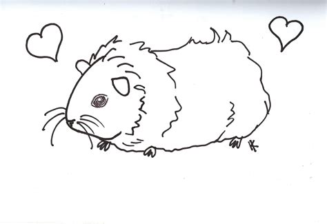 This looks extremely cute and your child will love to color both of them in same or different. Guinea pig coloring pages to download and print for free