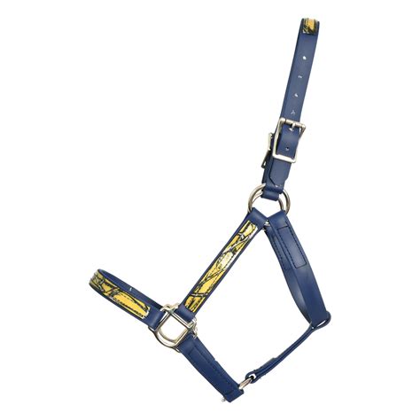 Leather Turnout Halter Breakaway Halters For Horses