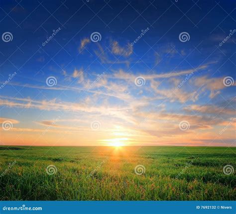 Grass Field Sunset Stock Photo Image Of Clean Field 7692132