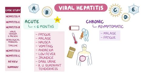 Viral Hepatitis Pathology Review Video And Anatomy Osmosis