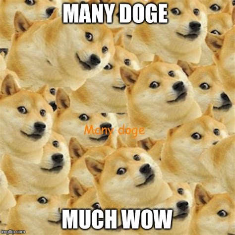 Image Tagged In Many Doge Imgflip