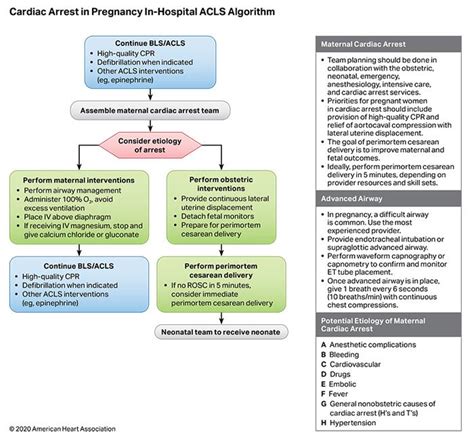 Algorithms American Heart Association Cpr And First Aid