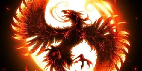Phoenix rising dark phoenix phoenix arizona magical creatures fantasy creatures fenix tattoo phoenix bird tattoos rise from the ashes fire art. Image result for dragon fire | Phoenix wallpaper