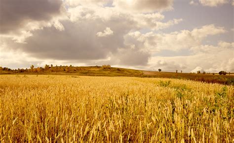 It is one of four major investigations on board psp, along with wispr, isois, and sweap. Gold Fields Free Stock Photo - Public Domain Pictures