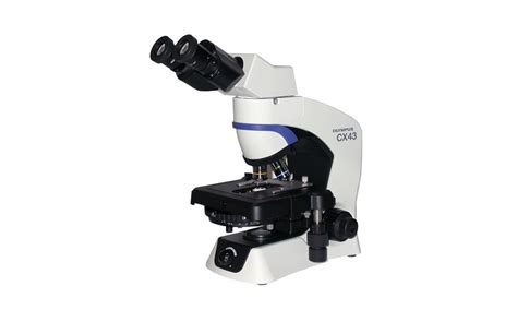 Phase Contrast Microscope Olympus Cx43 Minitube